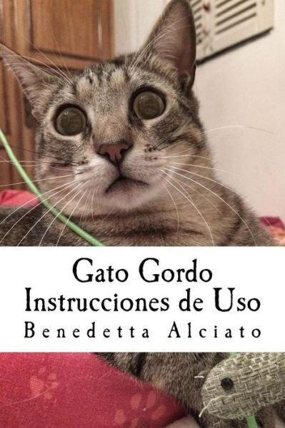 Cover for Benedetta Alciato · Gato Gordo (Pocketbok) (2017)