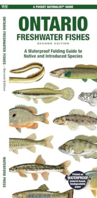 Cover for Morris, Matthew, Waterford Press · Ontario Freshwater Fishes: A Folding Guide to Native and Introduced Species - Nature Observation North America (Pamphlet) [2nd edition] (2024)