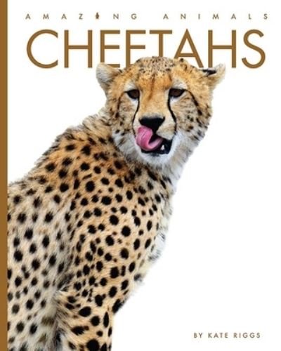 Cover for Kate Riggs · Cheetahs (Bok) (2021)