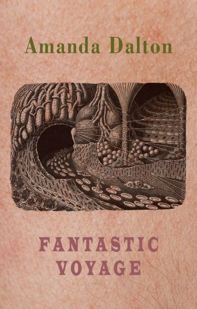 Cover for Amanda Dalton · Fantastic Voyage (Paperback Book) (2024)