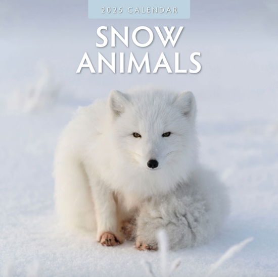 Cover for Red Robin · Snow Animals 2025 Square Wall Calendar (Paperback Book) (2024)