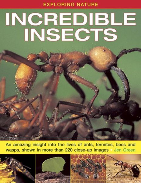 Cover for Dr Jen Green · Exploring Nature: Incredible Insects: An Amazing Insight into the Lives of Ants, Termites, Bees and Wasps, Shown in More Than 220 Close-up Images (Hardcover Book) (2014)