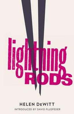 Cover for Helen DeWitt · Lightning Rods (Paperback Book) (2012)