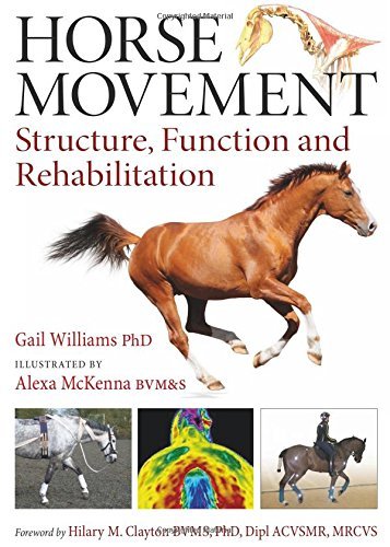 Cover for Gail Williams · Horse Movement: Structure, Function and Rehabilitation (Hardcover Book) (2014)