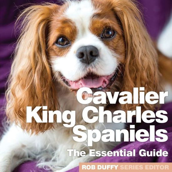 Cavalier King Charles Spaniels: The Essential Guide - Rob Duffy - Books - BX Plans Ltd - 9781913296117 - March 30, 2020