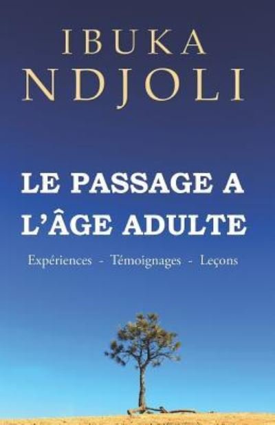 Cover for Ibuka Ndjoli · Le Passage (Paperback Book) (2018)