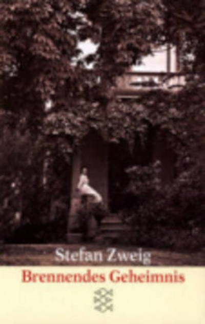 Cover for Stefan Zweig · Taschenbuch 09783596293117 (Bog) (2024)
