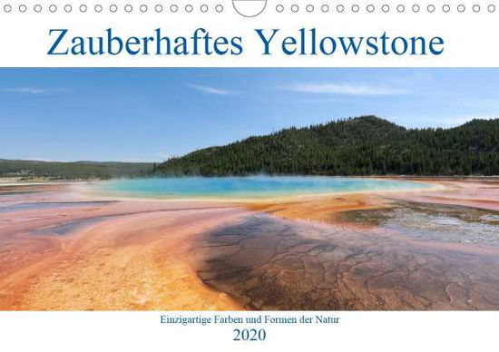 Cover for Anders · Zauberhaftes Yellowstone - Einzi (Book)