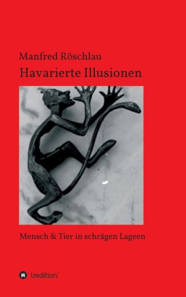 Cover for Röschlau · Havarierte Illusionen (Book) (2019)