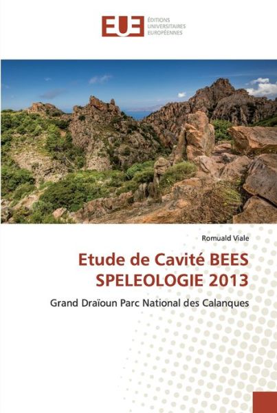 Cover for Viale · Etude de Cavité BEES SPELEOLOGIE (Book) (2020)