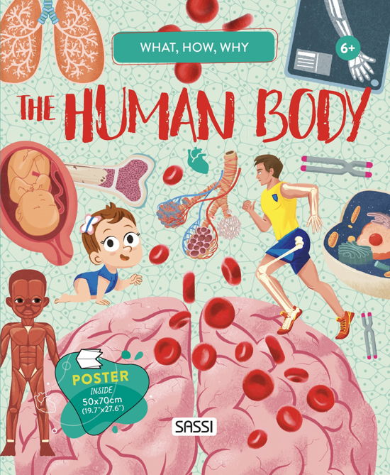 What, How, Why. The Human Body - Irena Trevisan - Books - Sassi - 9788830310117 - June 9, 2022
