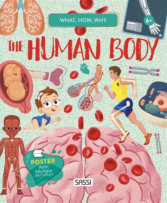 Cover for Irena Trevisan · What, How, Why. The Human Body (Inbunden Bok) (2022)