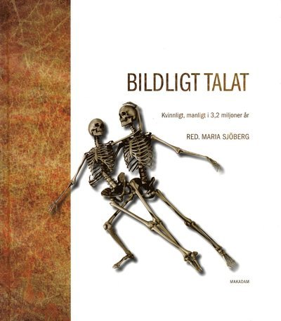 Cover for Sjöberg Maria (red.) · Bildligt talat : kvinligt, manligt i 3,2 miljoner år (Inbunden Bok) (2011)