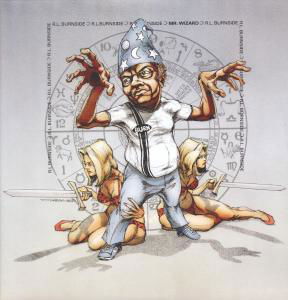 Cover for R.l. Burnside · Mr Wizard (LP) [Limited edition] (2012)