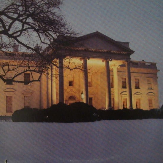 Cover for Dead C · The White House (LP) [Remastered edition] (2023)