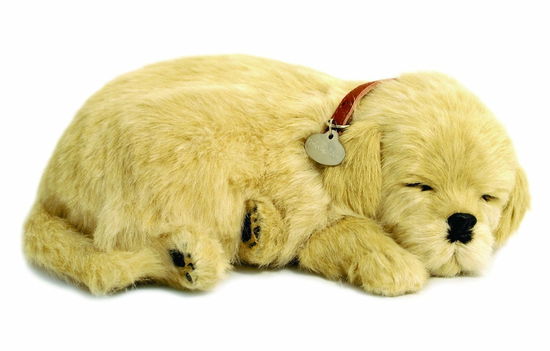 Cover for Perfect Petzzz · Soft Golden Retriever (Toys)