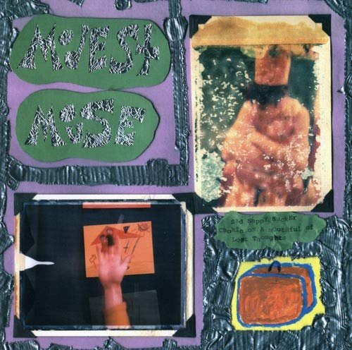 Cover for Modest Mouse · Sad Sappy Sucker (LP) (2001)