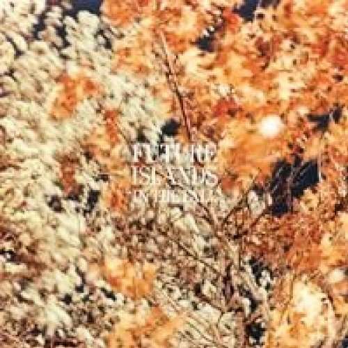 In the Fall (12'') - Future Islands - Muzyka - OUTSIDE/THRILL JOCKEY RECORDS - 0790377124118 - 26 sierpnia 2014