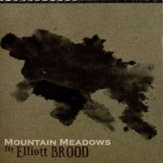 Cover for Elliott Brood · Mountain Meadows (LP) [Remastered edition] (2016)