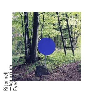 Cover for Ritornell · Aquarium Eyes (LP) (2013)
