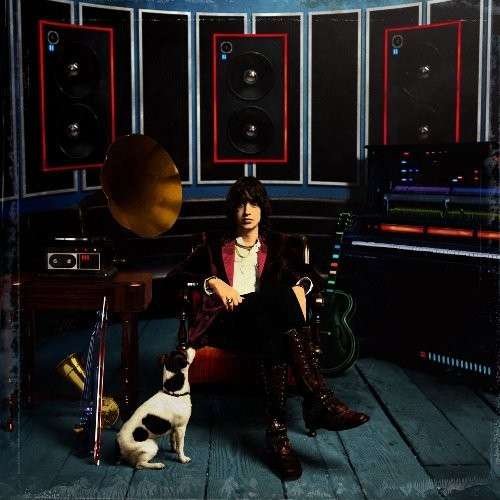 Cover for Julian Casablancas · Phrazes for the Young (LP) (2009)