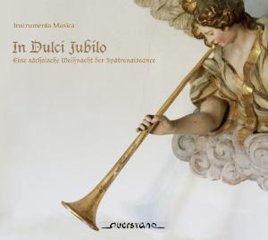 Cover for Instrumenta Musica / Various · In Dulci Jubilo (CD) (2009)