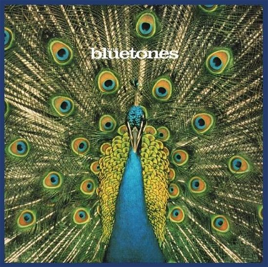 Cover for Bluetones · Expecting to Fly: 20th Anniversary Vinyl Edition (LP) (2016)