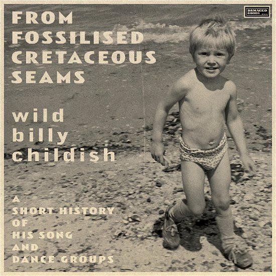 From Fossilised Cretaceous Seams - Billy Childish - Musik - DAMAGED GOODS - 5020422061118 - 5 juli 2024