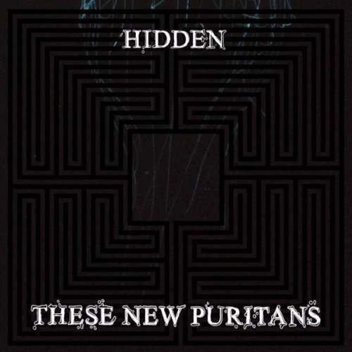 Cover for These New Puritans · Hidden (LP) (2010)
