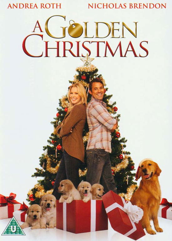 Cover for Golden Christmas (DVD) (2023)