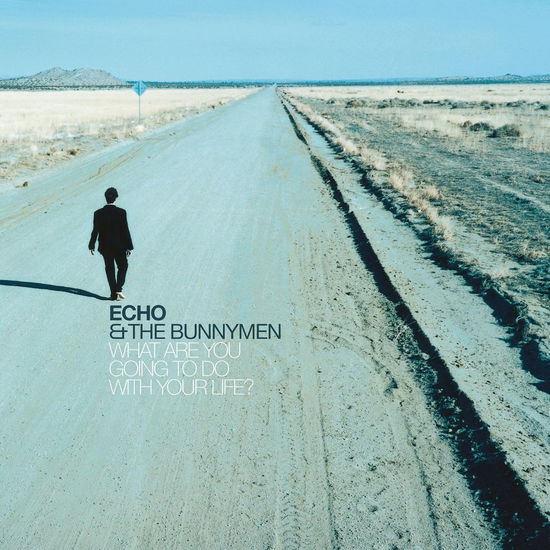 What Are You Going To Do With Your Life ? - Echo And The Bunnymen - Music - LONDON RECORDS - 5061017251118 - November 29, 2024