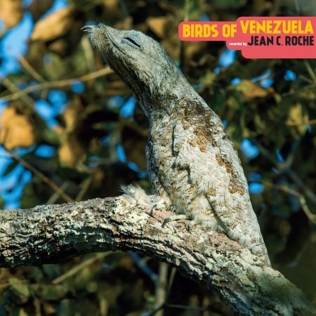 Birds of Venezuela - Jean C Roche - Musique - SUB ROSA - 5411867334118 - 21 septembre 2018