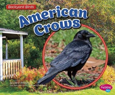 Cover for Lisa J. Amstutz · American Crows (Backyard Birds) (Book) (2016)