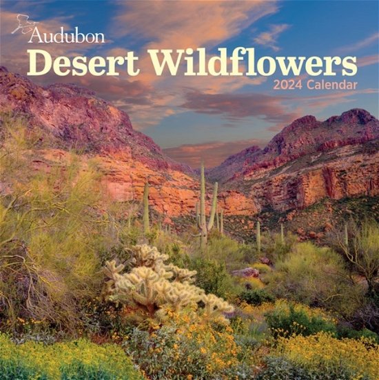 Cover for National Audubon Society · Audubon Desert Wildflowers Wall Calendar 2024: A Visual Delight for Nature Lovers (Calendar) (2023)