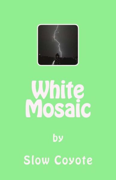 Cover for Slow Coyote · White Mosaic (Taschenbuch) (2016)