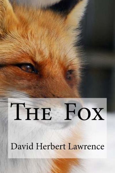 The Fox - David Herbert Lawrence - Books - Createspace Independent Publishing Platf - 9781533477118 - May 27, 2016