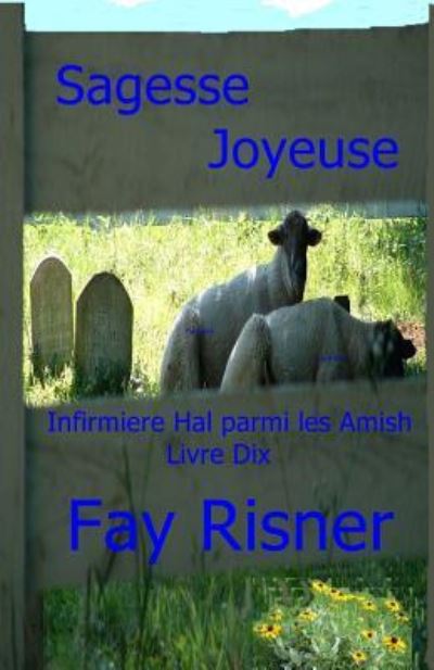 Cover for Fay Risner · Sagesse Joyeuse (Paperback Book) (2017)