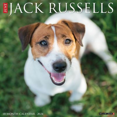 Willow Creek Press · Just Jack Russells 2024 12 X 12 Wall Calendar (Kalender) (2023)