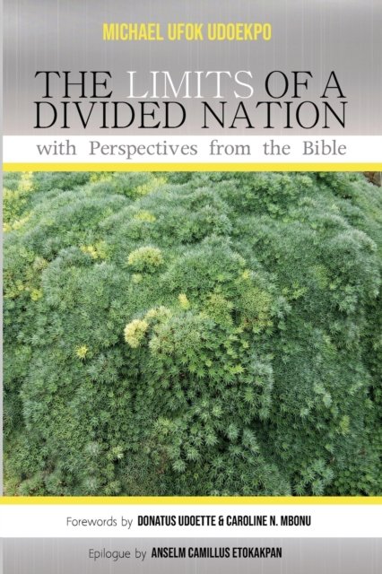 Michael Ufok Udoekpo · The Limits of a Divided Nation with Perspectives from the Bible (Paperback Bog) (2020)