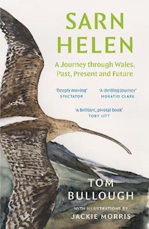 Cover for Tom Bullough · Sarn Helen: A Journey Through Wales, Past, Present and Future (Pocketbok) (2024)