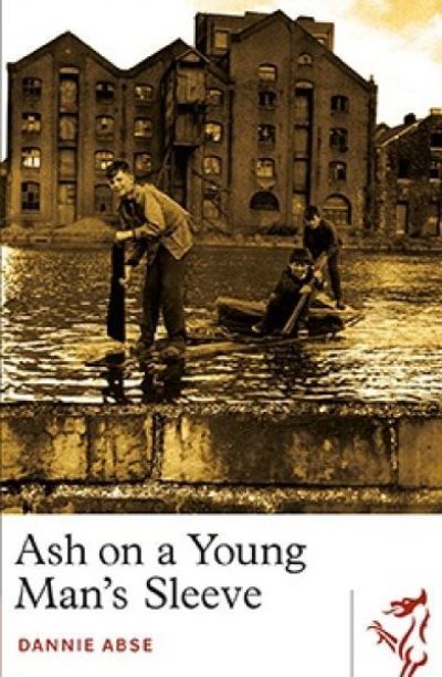 Cover for Dannie Abse · Ash on a Young Man's Sleeve - Library of Wales (Paperback Book) [2nd edition] (2022)