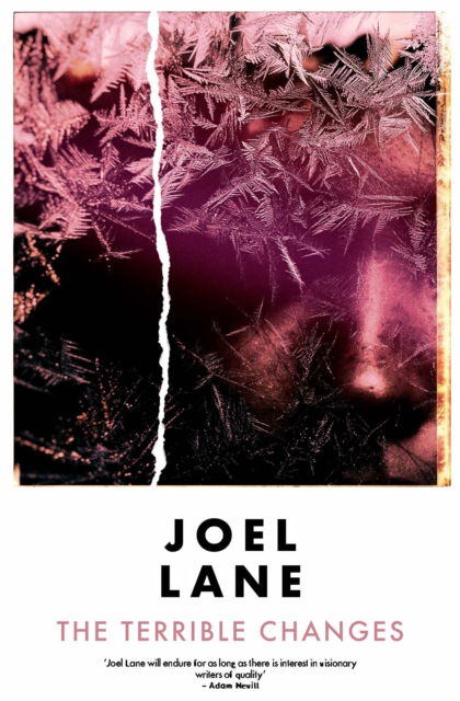 Cover for Joel Lane · The Terrible Changes (Paperback Book) (2025)