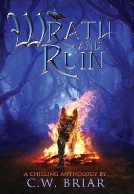 Cover for C W Briar · Wrath and Ruin (Hardcover bog) (2016)