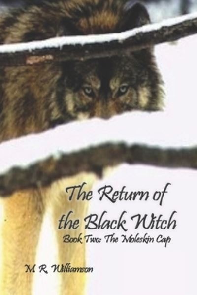 Cover for Amazon Digital Services LLC - KDP Print US · The Return of the Black Witch (Paperback Book) (2022)
