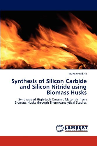 Cover for Muhammad Ali · Synthesis of Silicon Carbide and Silicon Nitride Using Biomass Husks: Synthesis of High-tech Ceramic Materials from Biomass Husks Through Thermoanalytical Studies (Paperback Book) (2012)
