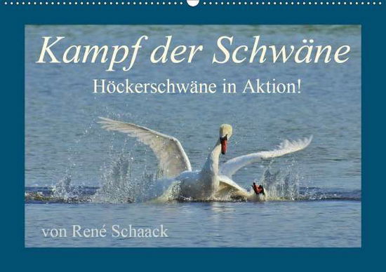 Kampf der Schwäne. Höckerschwän - Schaack - Boeken -  - 9783670970118 - 