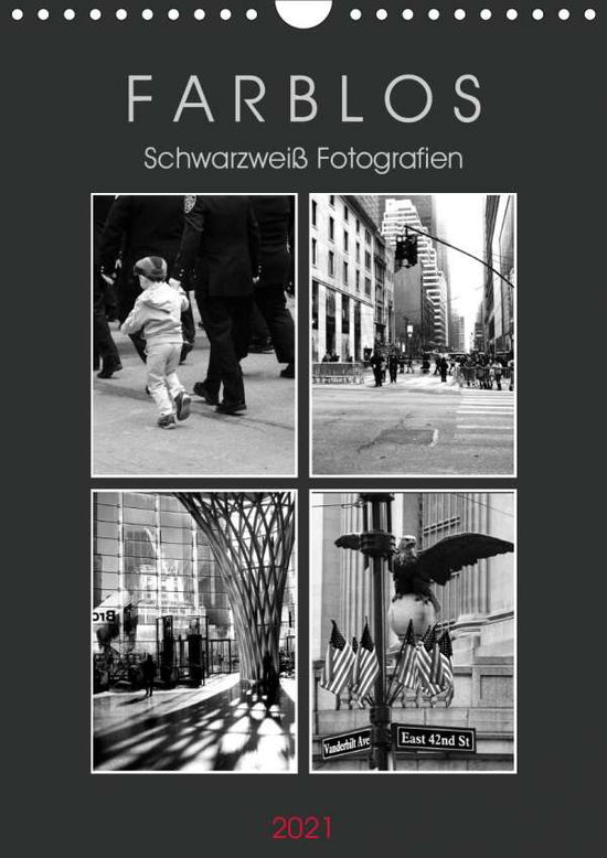 Cover for Seidl · F A R B L O S - Schwarzweiß Fotog (Book)