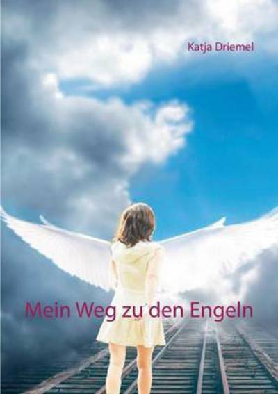 Cover for Katja Driemel · Mein Weg zu den Engeln (Pocketbok) (2016)