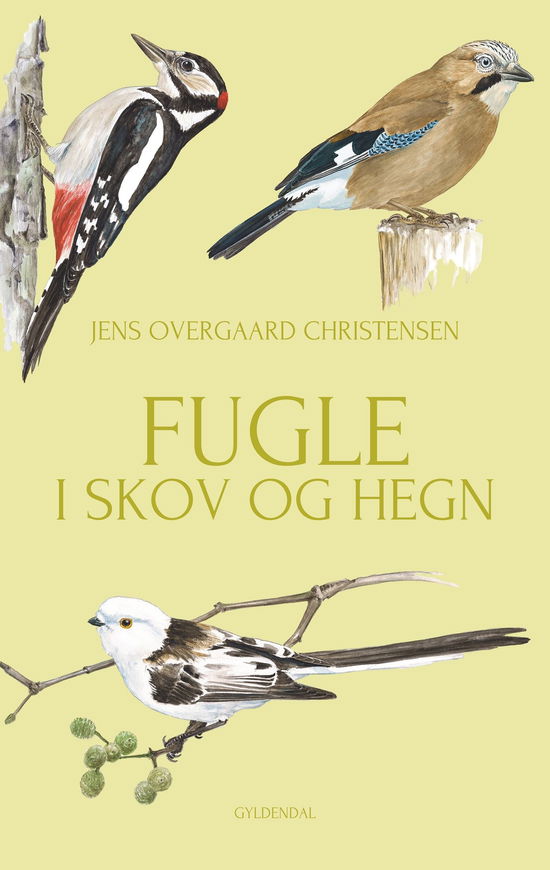 Cover for Jens Overgaard Christensen · Fugle i skov og hegn (Sewn Spine Book) [1. wydanie] (2025)