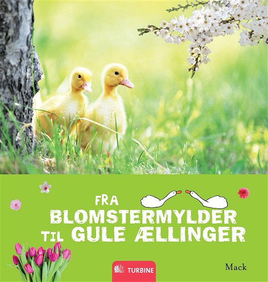 Cover for Mack · Fra blomstermylder til gule ællinger (Bound Book) [1er édition] [Indbundet] (2012)